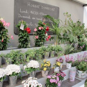 Bouquet de fleurs Au palais des fleurs à Bollène