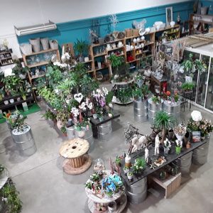 boutique Au palais des fleurs avec divers plantes et bouquets de fleurs