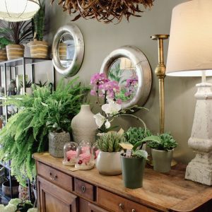 commode décoration avec pots de plantes, Atelier 5ème saison à Bollène