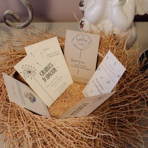 Panier avec cartes de visites de Georgia Hengel Genolhac naturopathe reflexologue
