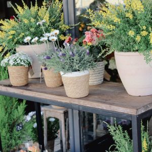 Table avec des pots de plantes, atelier 5ème saison à Bollène