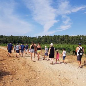 groupe de personnes en balade dans les vignes