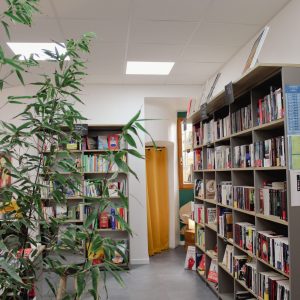 Bibliothèque de la librairie Les Causeuses à Bollène