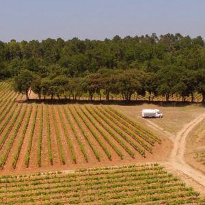 vue aerienne vignoble, Julien de l'Embisque à Bollène