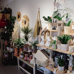 Étagères avec des plantes d'intérieur, E'fleurement à Bollène